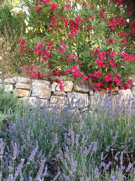 l'Oustaou B&B Piscine&Spa Besse-sur-Issole Exterior foto
