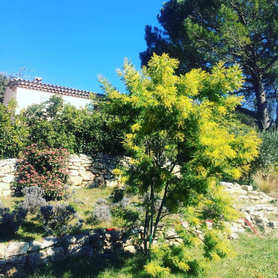 l'Oustaou B&B Piscine&Spa Besse-sur-Issole Exterior foto